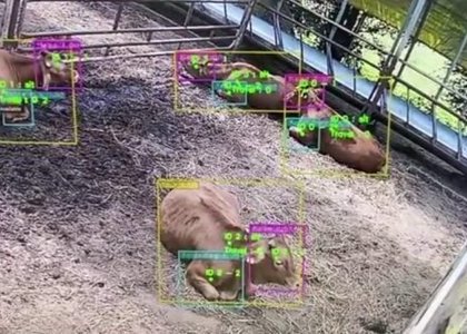 인공지능 스타트업 기업 딥팜 주목